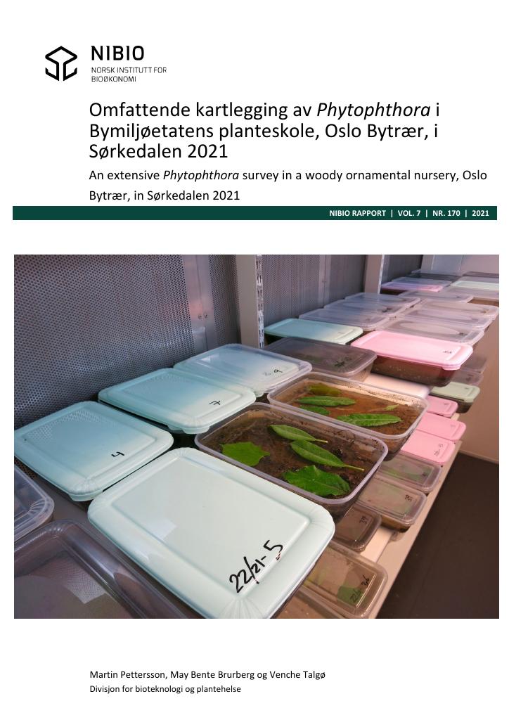 Forsiden av dokumentet Omfattende kartlegging av Phytophthora i Bymiljøetatens planteskole, Oslo Bytrær, i Sørkedalen 2021 : an extensive Phytophthora survey in the woody ornamental nursery, Oslo Bytrær, in Sørkedalen 2021