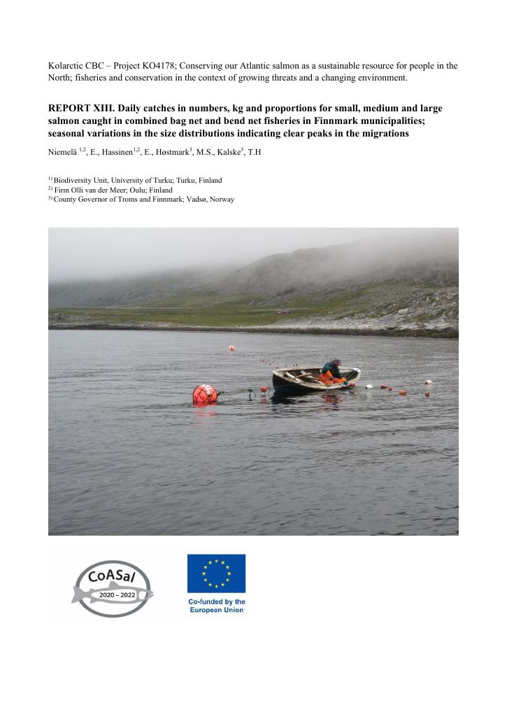 Forsiden av dokumentet REPORT XIII. Daily catches in numbers, kg and proportions for small, medium and large salmon caught in combined bag net and bend net fisheries in Finnmark municipalities; seasonal variations in the size distributions indicating clear peaks in the migrations