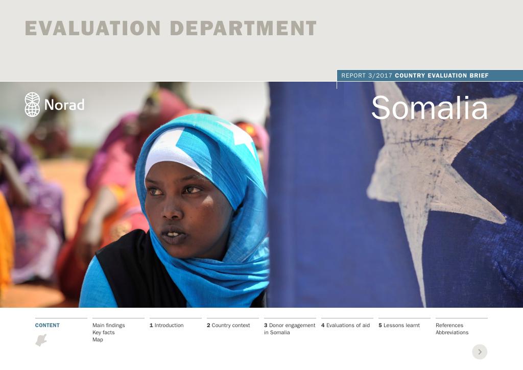 Forsiden av dokumentet Country Evaluation Brief: Somalia